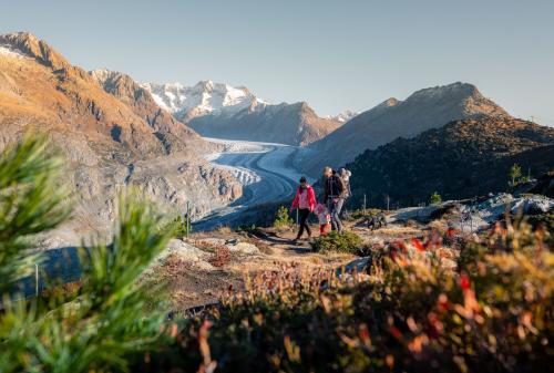 © aletscharena.ch – Christian Pfammatter